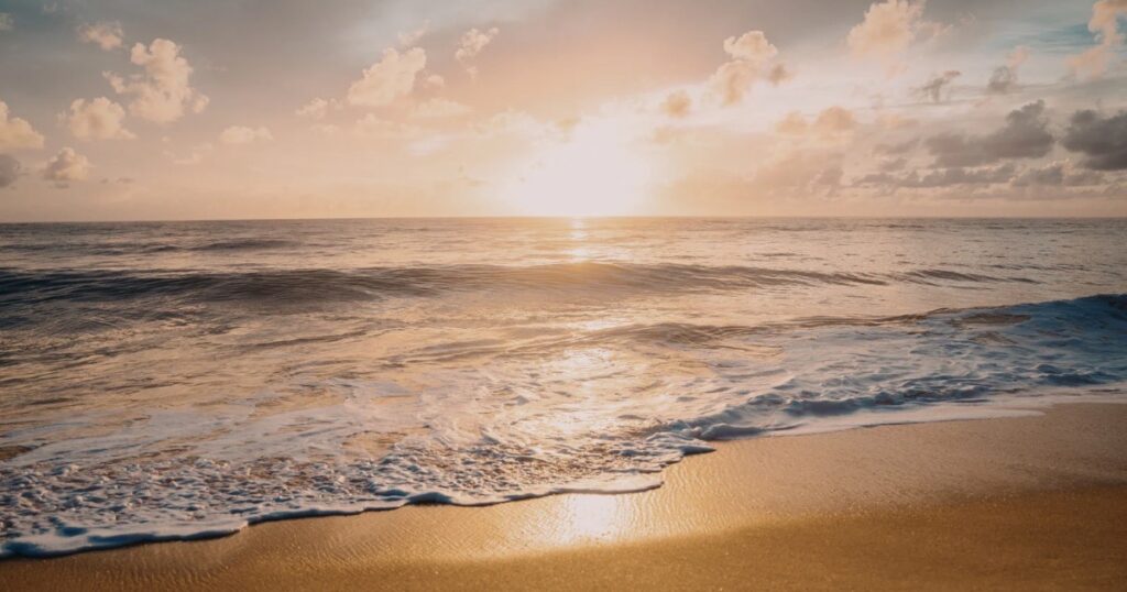 癒し整える　　　　　　　　　　　　　　～ヒーラーの世界～