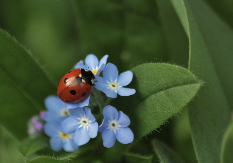 ◇子どもの時計は慌てない◇