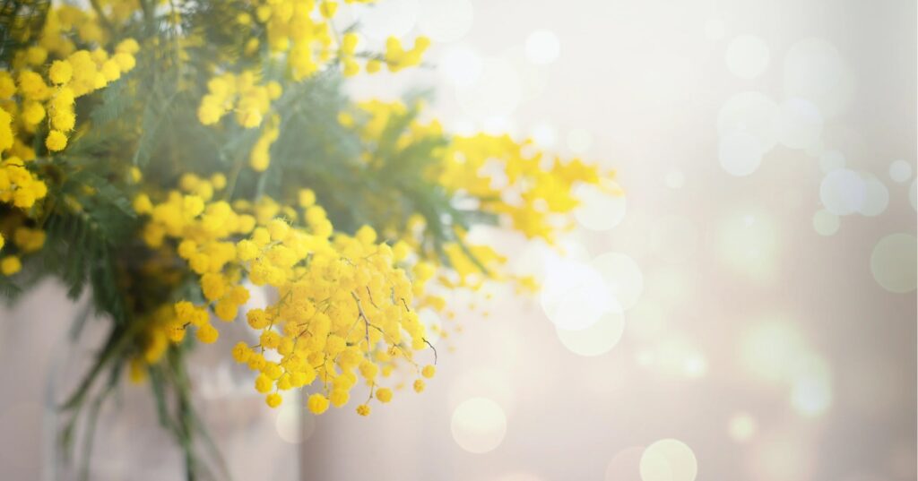 子育てに本当に大切なこと