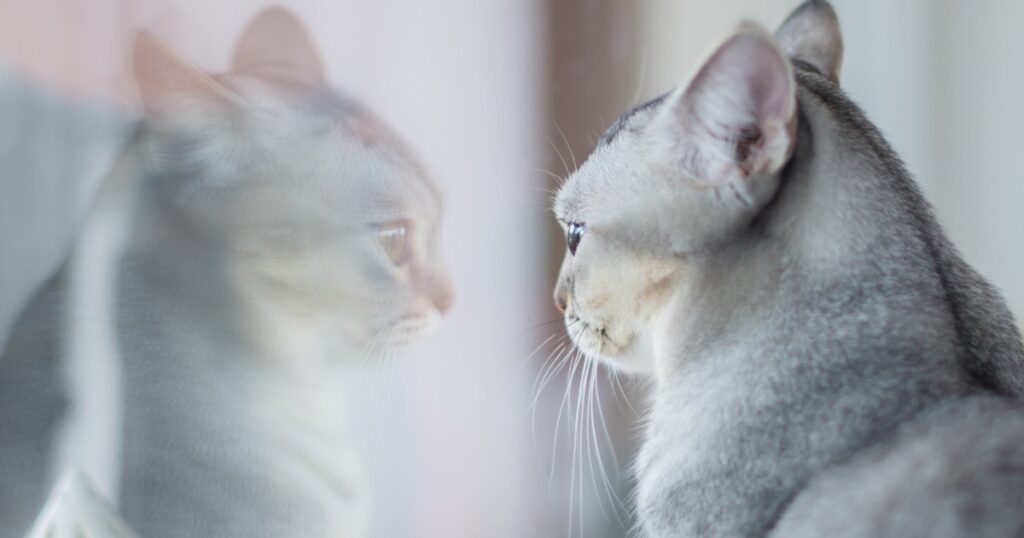 本当の自分を思い出す