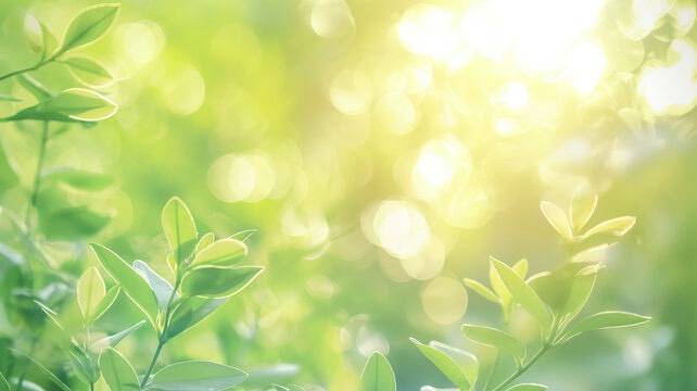 未来を育てる教育成長ラボ〜子どもたちの未来のために〜
