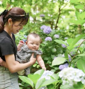 http://紫陽花の季節